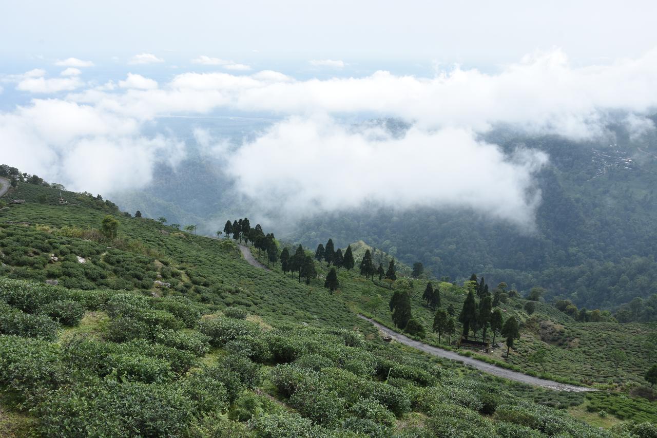 Nirvana Retreat Kurseong Zewnętrze zdjęcie
